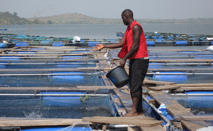 Développement de l'aquaculture: Des acteurs de la pêche invités à innover