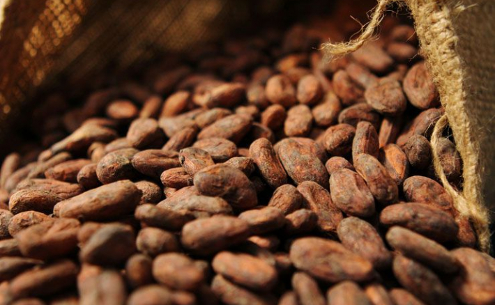 Développement de la filière cacao : La Côte d' Ivoire et le Ghana s'accordent